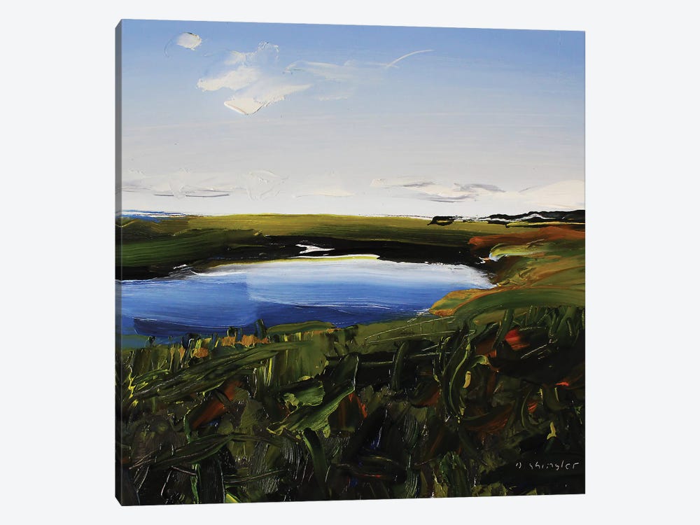 Frisco Marsh by David Shingler 1-piece Canvas Print