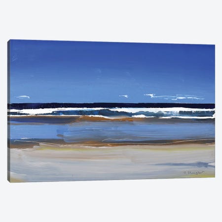 Hatteras Beach, NC I Canvas Print #SHG20} by David Shingler Canvas Print