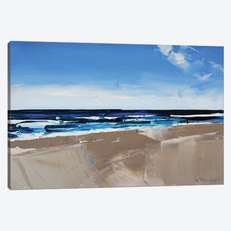 Hatteras Beach, NC II Canvas Print #SHG21} by David Shingler Canvas Print
