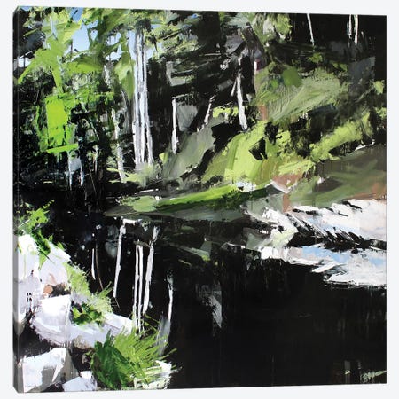 Mitchell River Canvas Print #SHG22} by David Shingler Canvas Art Print