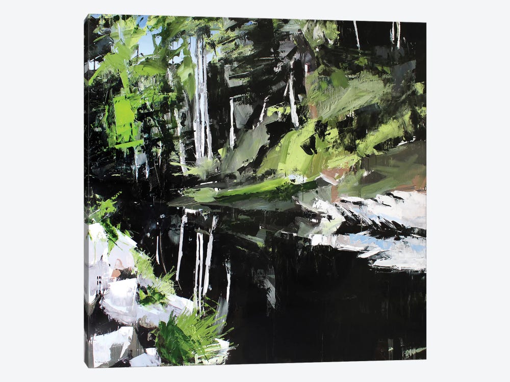 Mitchell River by David Shingler 1-piece Canvas Art