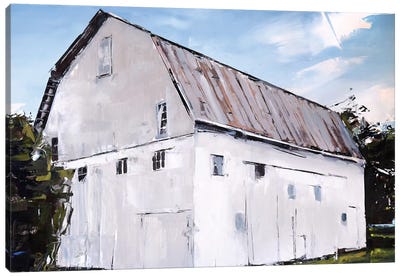 Ohio Barn Canvas Art Print - David Shingler