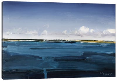 Outer Banks, NC Canvas Art Print - David Shingler