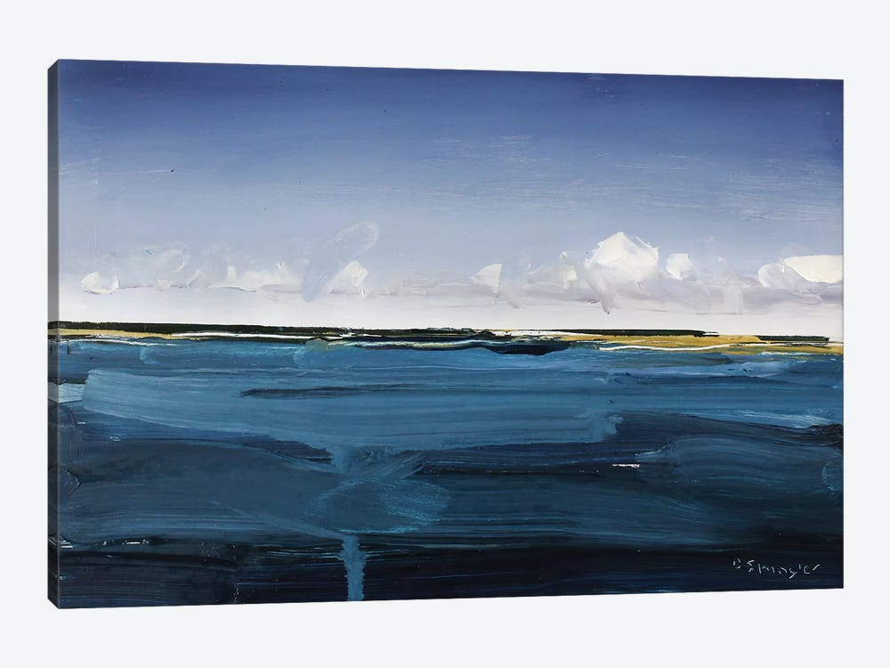 Outer Banks, NC by David Shingler 1-piece Canvas Artwork