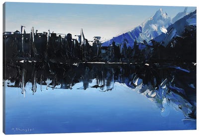 Reflections At Lake Marion Canvas Art Print - David Shingler
