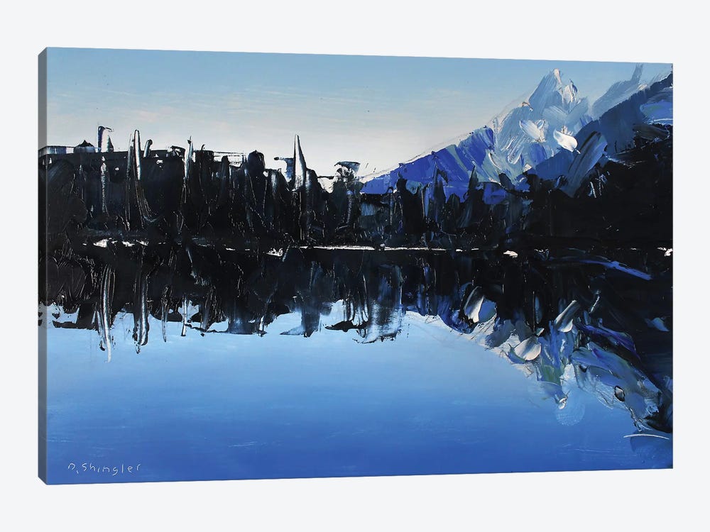 Reflections At Lake Marion by David Shingler 1-piece Canvas Print