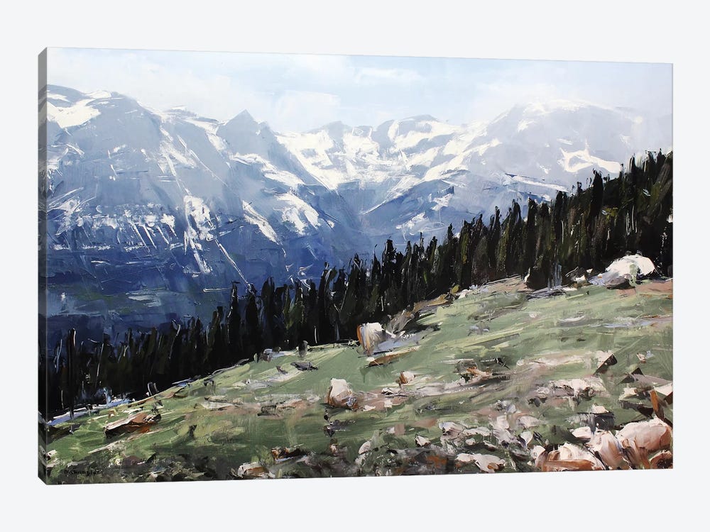 Rocky Mountain National Park Colorado I by David Shingler 1-piece Canvas Artwork