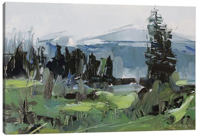 Rocky Mountain National Park Colorado II Canvas Art Print - David Shingler