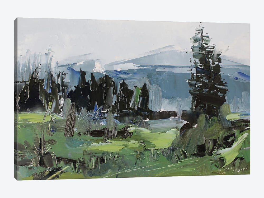 Rocky Mountain National Park Colorado II by David Shingler 1-piece Art Print