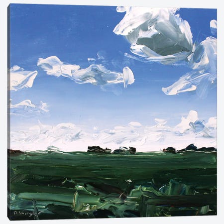 Texas Clouds Canvas Print #SHG37} by David Shingler Canvas Art Print