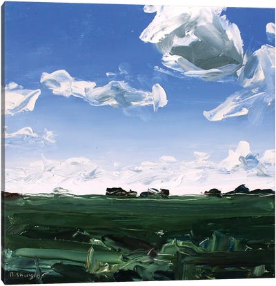 Texas Clouds Canvas Art Print - David Shingler