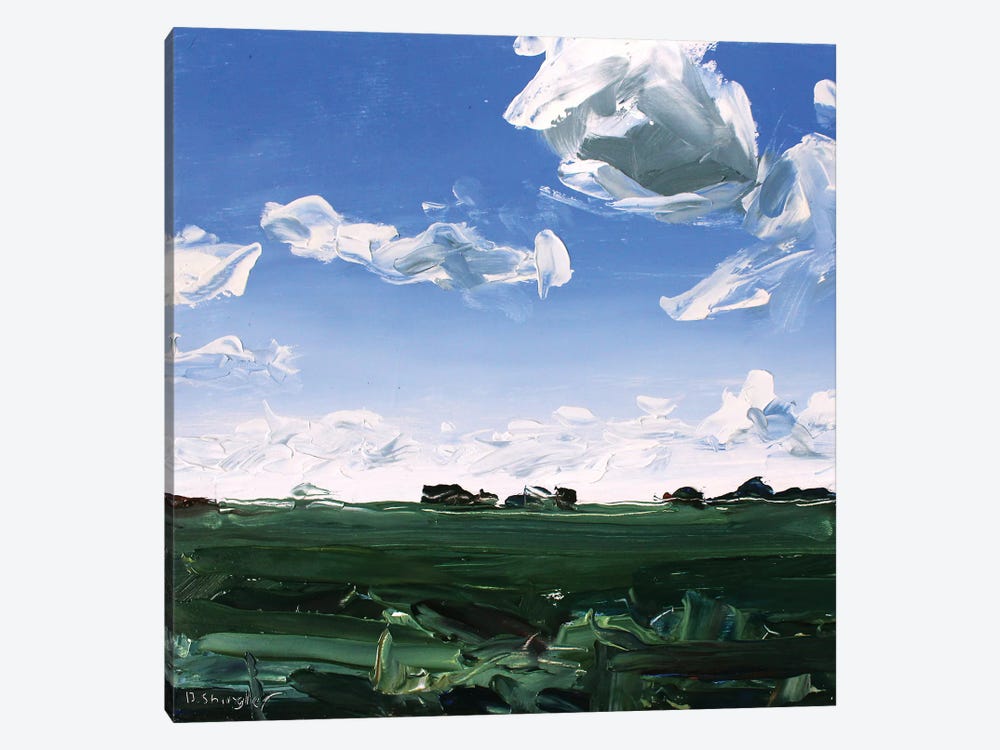 Texas Clouds by David Shingler 1-piece Canvas Artwork