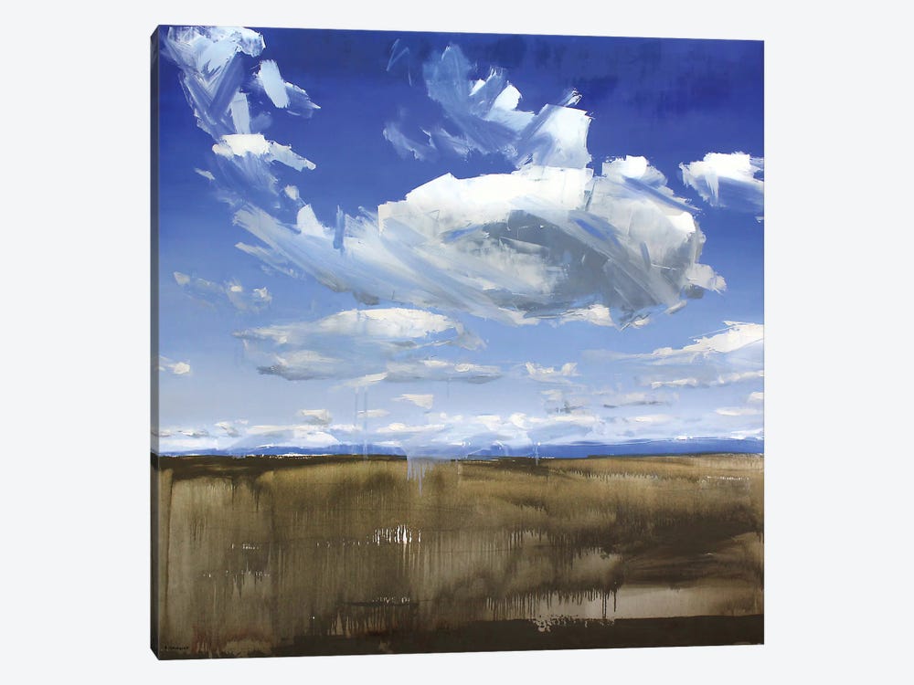 Wyoming Clouds by David Shingler 1-piece Art Print