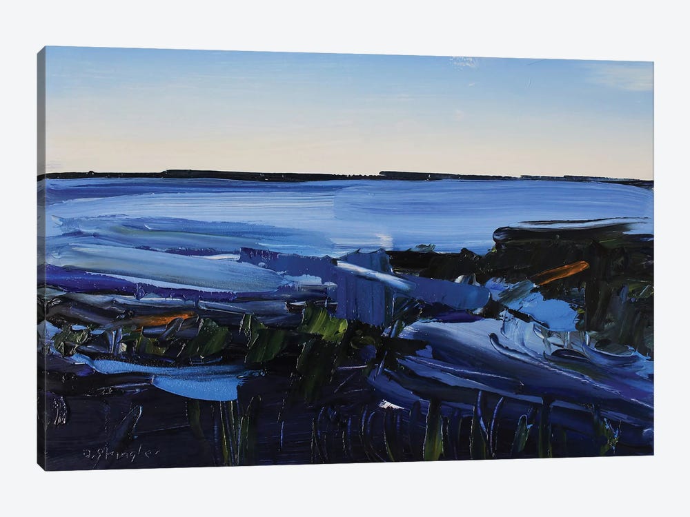 Cape Hatteras National Seashore I by David Shingler 1-piece Canvas Artwork