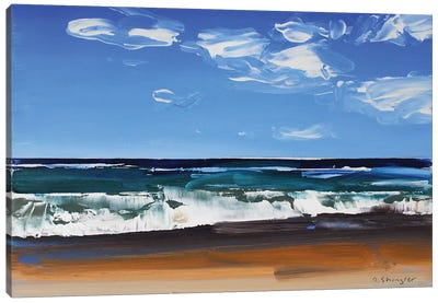 Cape Hatteras National Seashore II Canvas Art Print - David Shingler