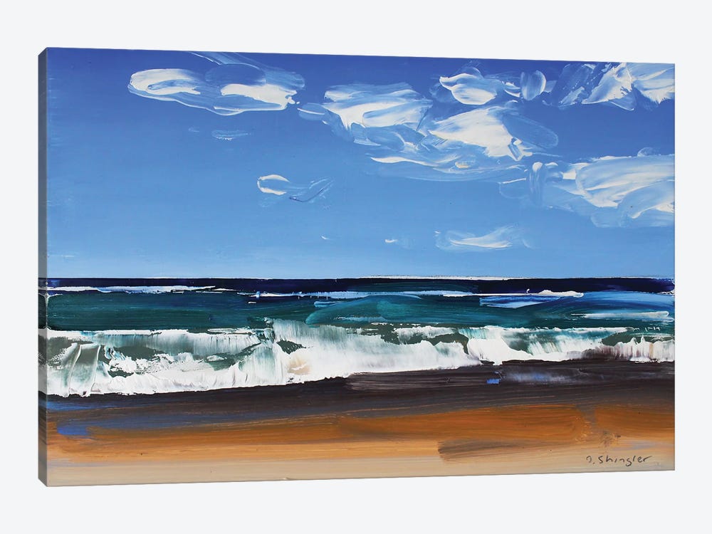 Cape Hatteras National Seashore II by David Shingler 1-piece Canvas Print