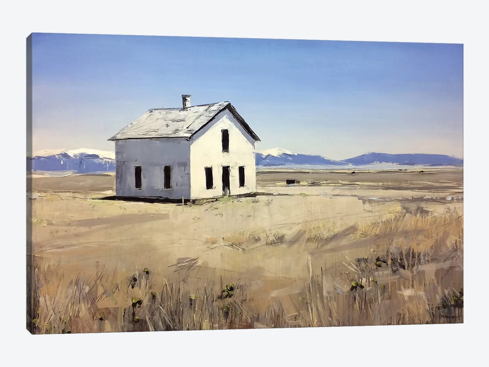 Colorado House I by David Shingler 1-piece Canvas Artwork