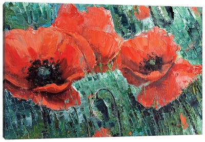 Red Poppies Canvas Art Print - Lana Shamshurina