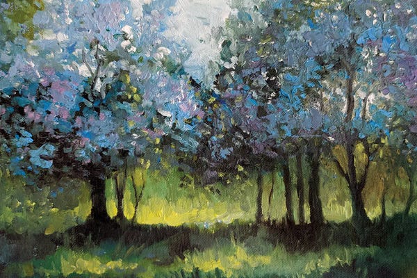 Cherry Blossoms: Cherry Blossom by Lana Shamshurina