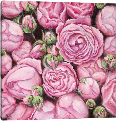 Pink Roses Flat Lay Canvas Art Print - Lana Shamshurina