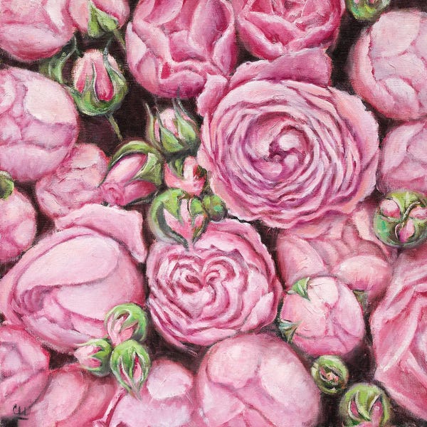 Lana Shamshurina: Pink Roses Flat Lay by Lana Shamshurina