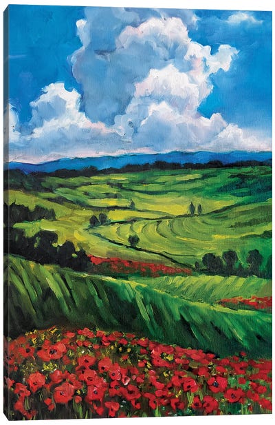 Poppy Field Canvas Art Print - Lana Shamshurina