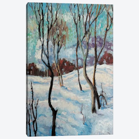 Fluffy Snow Canvas Print #SHH25} by Lana Shamshurina Canvas Print