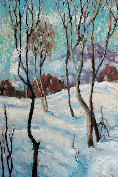 Winter Wonderland: Fluffy Snow by Lana Shamshurina