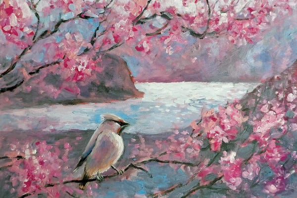 Cherry Blossoms: Pink Spring by Lana Shamshurina