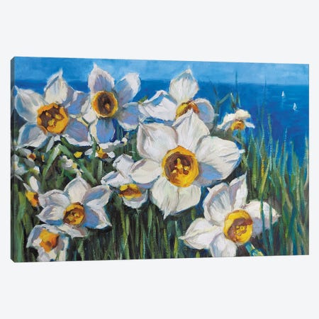 Sea Daffodils Canvas Print #SHH28} by Lana Shamshurina Canvas Wall Art