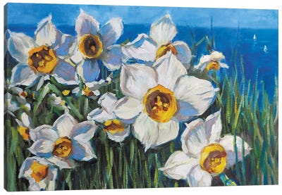 Sea Daffodils Canvas Art Print - Daffodil Art