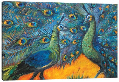 Avan Peacocks Canvas Art Print - Lana Shamshurina