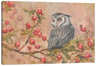 Little Owl Canvas Art Print - Berry Art