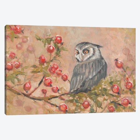 Little Owl Canvas Print #SHH3} by Lana Shamshurina Canvas Artwork