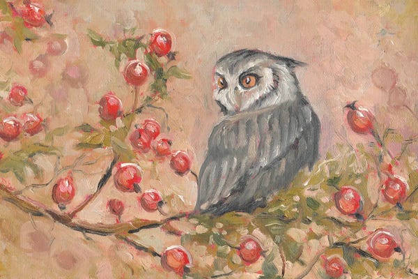 Lana Shamshurina: Little Owl by Lana Shamshurina