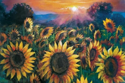 Sunflowers Field by Lana Shamshurina framed wall art