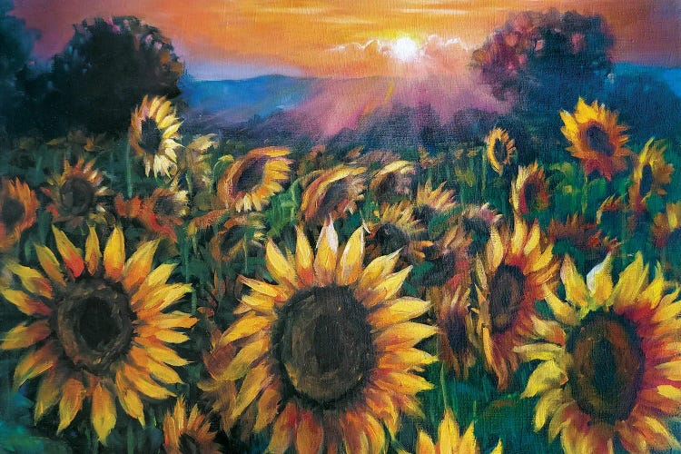 Sunflowers Field