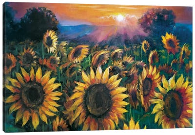 Sunflowers Field Canvas Art Print - Lana Shamshurina