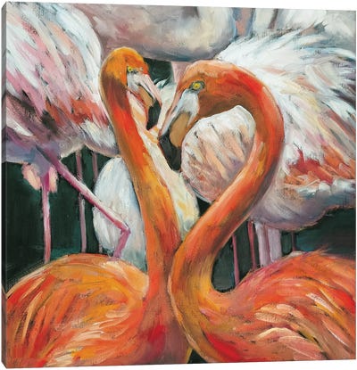 Couple Of Flamingos Canvas Art Print - Lana Shamshurina