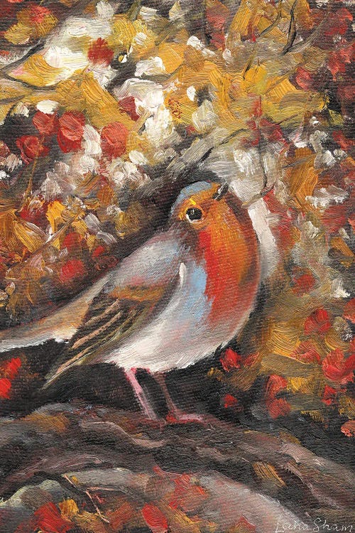 Robin Bird In Autumn