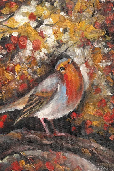 Lana Shamshurina: Robin Bird In Autumn by Lana Shamshurina