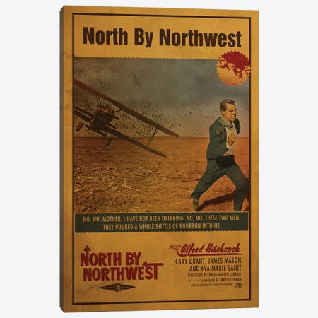 North By Northwest Canvas Print #SHI32} by Shinewall Canvas Art