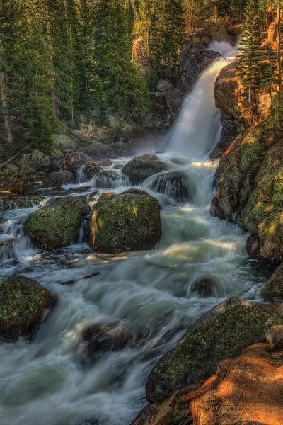 Bill Sherrell: Falling For You by Bill Sherrell