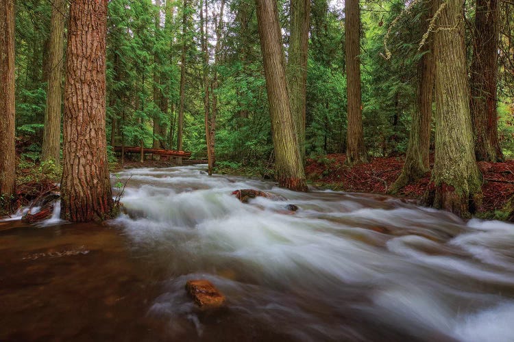 Flow by Bill Sherrell wall art