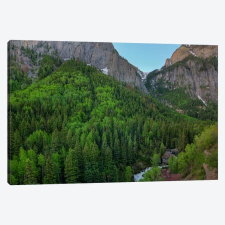 A Mountain Of Green Canvas Print #SHL10} by Bill Sherrell Canvas Print