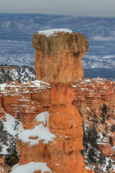 A Pillar Of Strength by Bill Sherrell canvas print