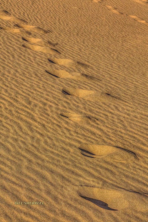 Footprints In The Sand