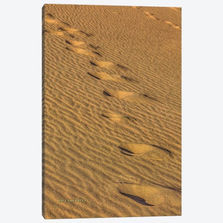 Footprints In The Sand Canvas Print #SHL110} by Bill Sherrell Canvas Print