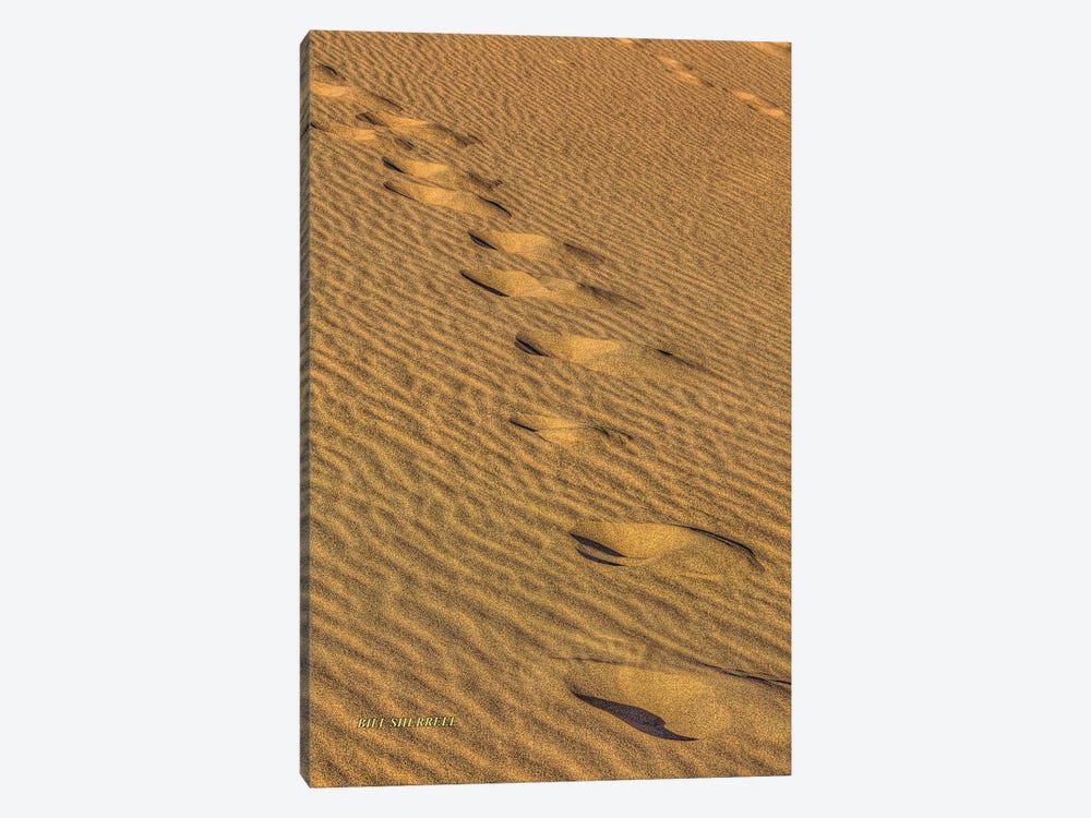 Footprints In The Sand by Bill Sherrell 1-piece Canvas Artwork