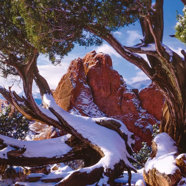 Bill Sherrell: Framed By Nature by Bill Sherrell